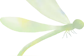 这些蒙题小技巧至少可以多拿10分+，你知道吗？图片