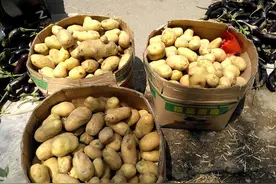 乡土散文：追忆往事之粜洋芋图片