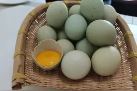 蛋中人参！武夷深山，黑羽乌鸡绿壳蛋来了，清香Q弹图片