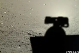 每天晚上，都有人和这只沉睡的“小兔子”说晚安图片