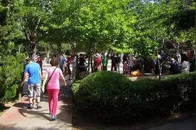 老年人经常压腿、拉筋，对身体是否有好处？骨科医生给你详细讲解图片