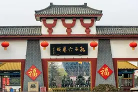 人口出生下降全国第一，山东人怎么了？图片