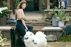 全网都在求刘亦菲去为家乡代言，不如来西藏，来一场 “有风之旅”图片