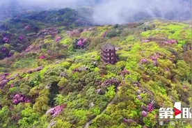 或唯美或飒爽或幽默 重庆多位文旅主任“出战”图片