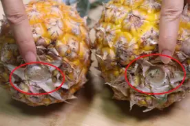 菠萝甜不甜？看一眼这里就知道，一挑一个准，这个方法真管用图片