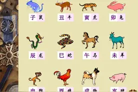 你的属相算对了吗？图片