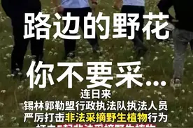 笑不活了！内蒙古24人采野韭菜花被抓！评论区炸了，云南人慌了！图片