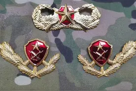 退役徽章欣赏（八七式武警领花）图片