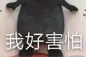 上海白蚁季又要到了，这里的大坝还惊现数十万只，该如何防治？图片