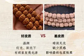 男人难以拒绝的文玩手串—金刚菩提图片