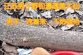 江苏男子钓鱼频繁遭遇“黄大仙”讨鱼吃，男子：连着来，不给就抢图片