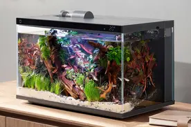 小米智能鱼缸众筹成功，智能养宠或成下一个风口图片