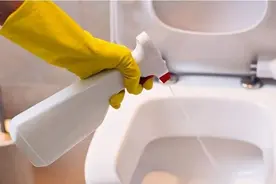 马桶又双叒叕堵了？送你五套在家解决方案图片