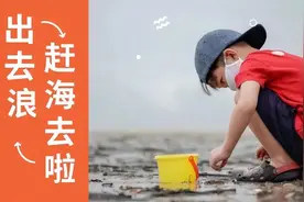 新加坡海滩居然藏着这么多宝贝！海胆、海参、红珊瑚、史前蓝血怪图片