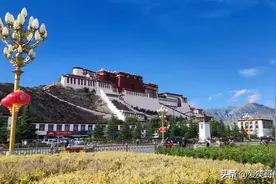 床车自驾游的吃住行实用装备清单，建议收藏起来备用图片