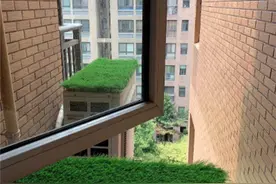 邻居嫌楼上空调滴水吵，在外机顶上多放块草垫！这做法实在是高图片