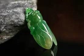 美女拿随身玉蝉鉴宝，专家见后忙让她摘下：你胆子太大了！故事图片