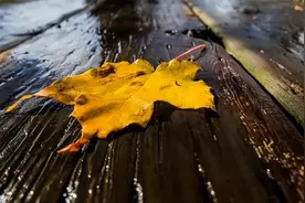 20首才华横溢的绝妙诗，让人拍案叫绝！图片