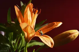 大运迟迟不来？大概是你身边藏匿着这三种消磨你福气的人图片