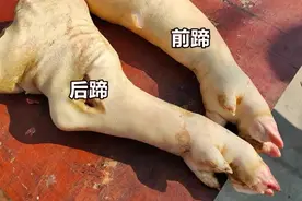 买猪蹄，你能分清“前蹄”和“后蹄”吗？记住4个特征，差别很大图片