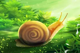 人与自然和谐共生教育：陆生动物（四）​图片