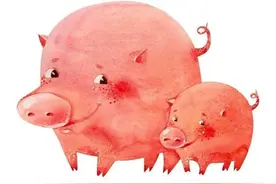 生肖猪一生最亲的人是谁？图片