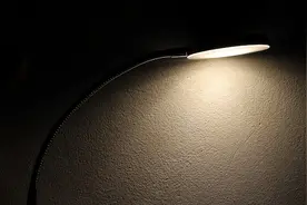 我的哑巴三舅图片