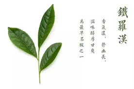 你心中的乌龙十大名茶有哪些？图片