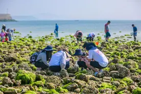 进威赶海的超全攻略！教你收获大海的“宝藏”～图片