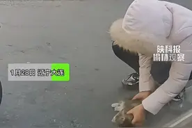 猫咪被人类弄伤露出骨头后仍然选择相信人类，如今终于重获希望！图片