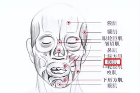 打牙关、挺软腭、松下巴，如何解决“口腔没打开”吐字不清晰？图片