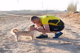 流浪狗戈壁：陪跑英国运动员，迷倒英国女王，它的故事感动无数人图片