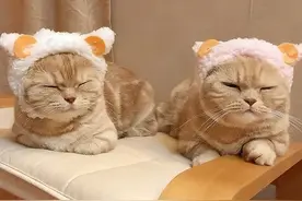 毁掉关系的6句话图片