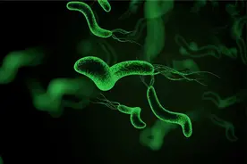 被列为明确致癌物！这种感染率超高的致病菌，孩子该怎么防？图片