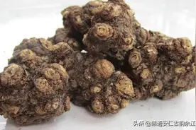 神药，也是神菜图片