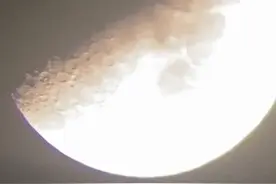 谷爱凌的双重国籍打了一个怎样的“擦边球”？图片