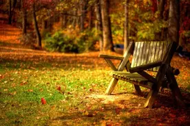 古人说的“瓜田李下”，原来是这个意思，却少有人知图片