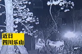 14岁抑郁症女孩凌晨从8楼跃下，万幸被救援气垫接住图片