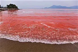 红海、白海、黄海、黑海、绿海分别在哪里？图片