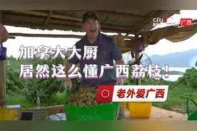 老外爱广西 | 加拿大大厨居然这么懂广西荔枝图片
