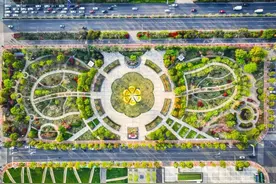 《鲜花调》是怎样在六合变成《茉莉花》的？图片