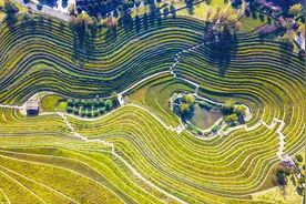 1205亿，@农民朋友，请关注这笔钱你收到没有？图片