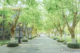 2023年扬州大学体育学院同等学力申请硕士学位研究生招生图片