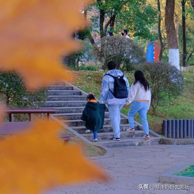 省钱还好玩！这是一条神奇公交线路，带你2块游遍长沙城