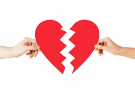 一分钟看懂诉讼离婚流程图片