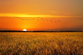 一个乡村学生的真实寄宿生活，太戳心了图片