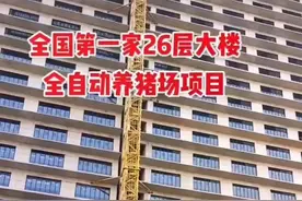 猪也住上26层高楼，一栋楼年出栏60万头，养猪一条龙低碳环保安全图片