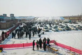 热闹！全疆会翻跟头的鸽子都来呼图壁了~图片