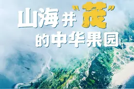 南方水果第一狠城，甜翻了整个中国图片