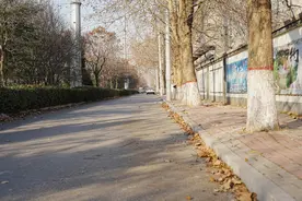 手把手教你更换汽车钥匙电池，附中外纽扣电池代表品牌横评实测！图片